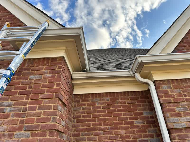 Fascia and gutter rebuild